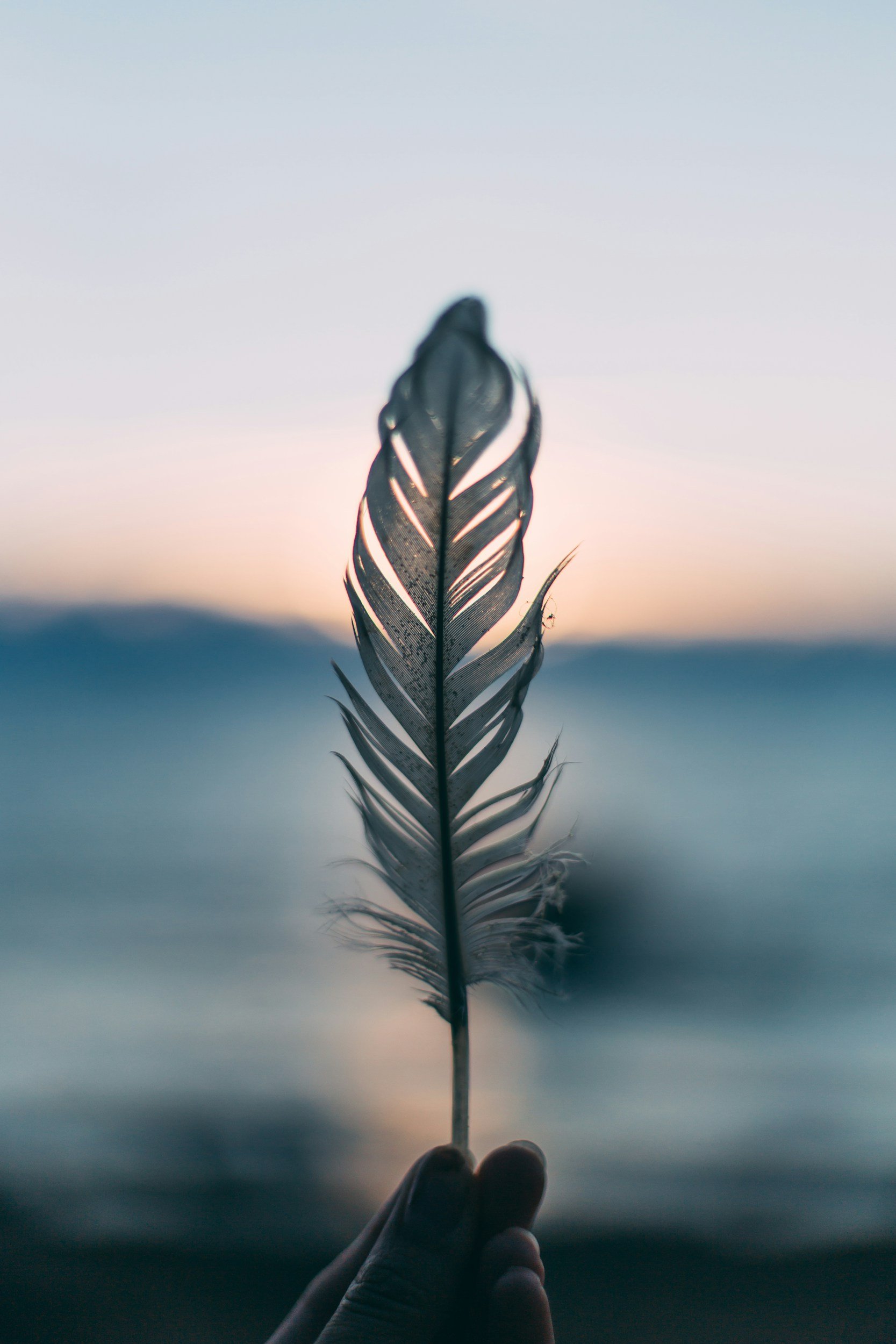 A close-up of a hand holding a feather up against a blurred sunset or sunrise background.